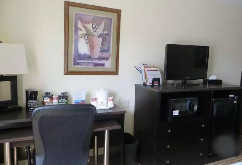 اتاق استاندارد, Ramada By Wyndham Wisconsin Dells I 90