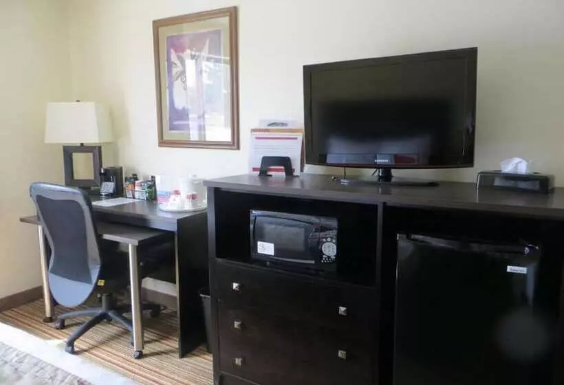 اتاق استاندارد, Ramada By Wyndham Wisconsin Dells I 90