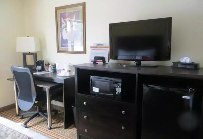 اتاق استاندارد با تخت بزرگ, Ramada By Wyndham Wisconsin Dells I 90