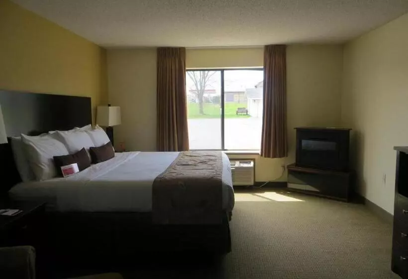 اتاق استاندارد با تخت بزرگ, Ramada By Wyndham Wisconsin Dells I 90