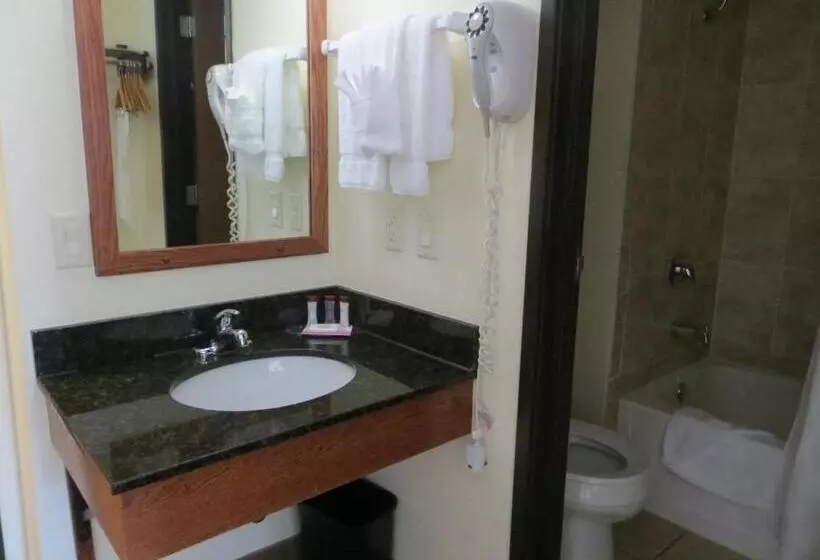 اتاق لوکس با تخت بزرگ, Ramada By Wyndham Wisconsin Dells I 90
