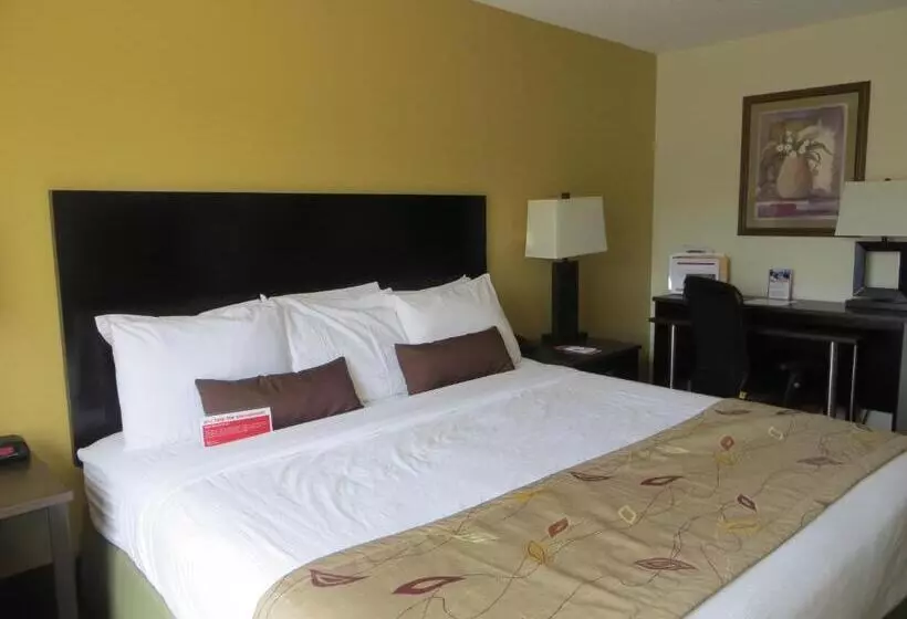 استودیو استاندارد با تخت کینگ, Ramada By Wyndham Wisconsin Dells I 90