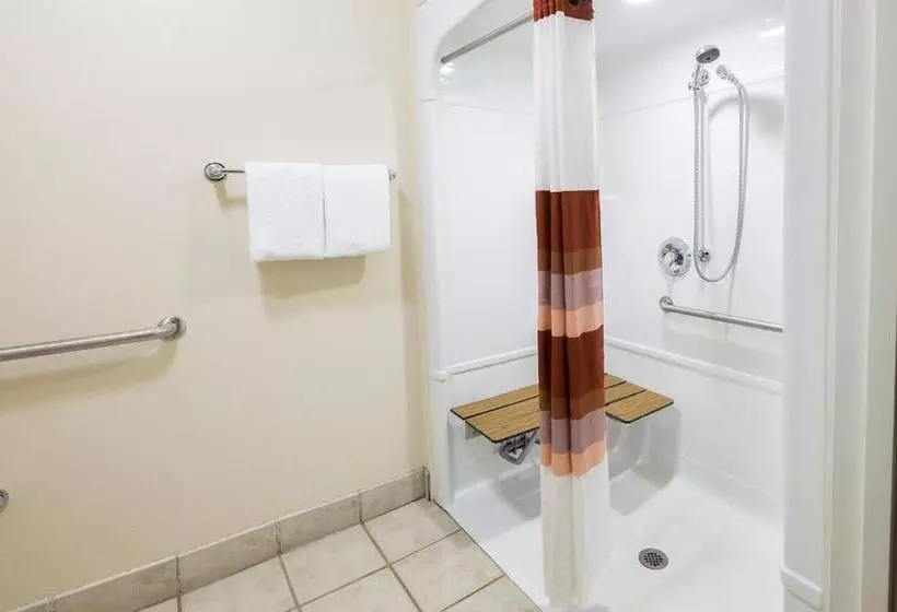 身障者適用キングサイズベッドルーム, Red Roof Inn Detroit  Warren