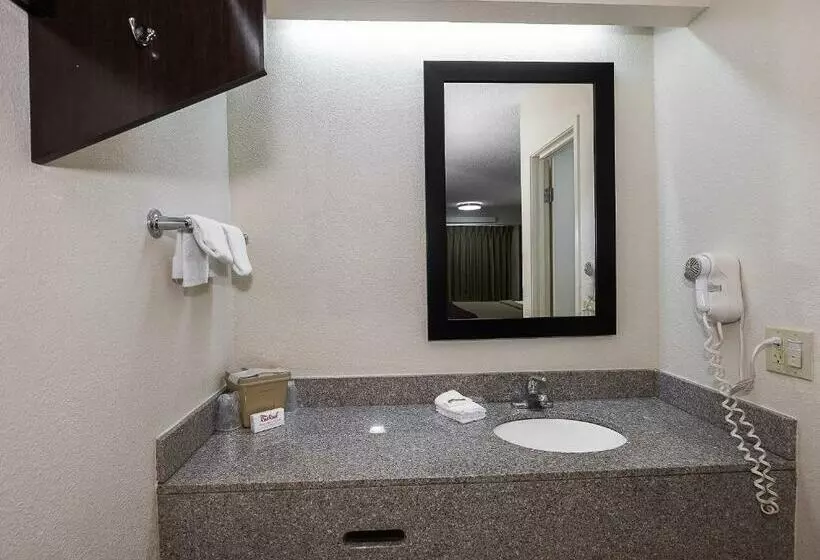 身障者適用キングサイズベッドルーム, Red Roof Inn Minneapolis   Plymouth   Wayzata