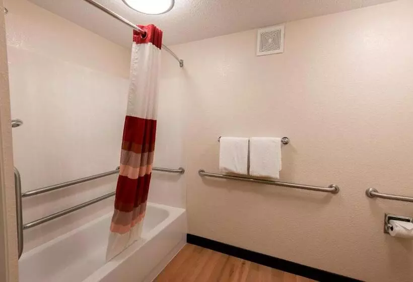 اتاق استاندارد با تخت بزرگ برای معلولان, Red Roof Inn Plus+ Ann Arbor   U Of Michigan North