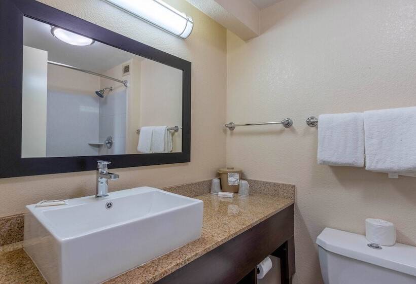 디럭스 룸, Red Roof Inn Plus+ El Paso East