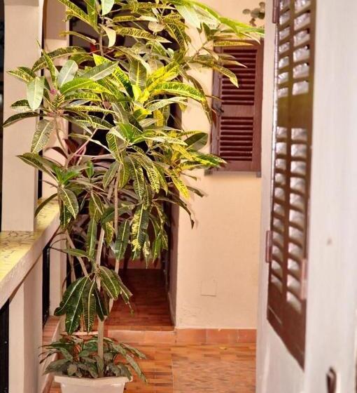 اتاق استاندارد با سرویس بهداشتی مشترک, Chez Titi