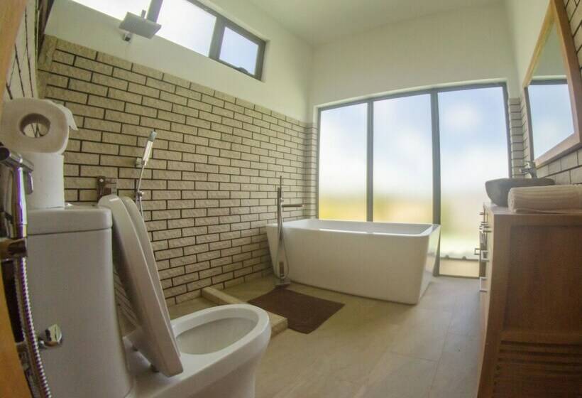 اتاق استاندارد با تخت بزرگ, Horisun