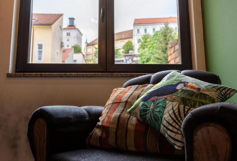 اتاق استاندارد با چشم‌انداز شهر, Timeout Heritage Hotel Zagreb