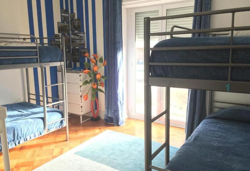 اتاق استاندارد چهارنفره با سرویس بهداشتی مشترک, Ameli Rooms