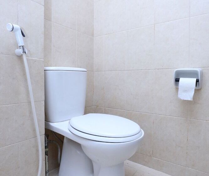 اتاق استاندارد, Oyo 112 Semiramis