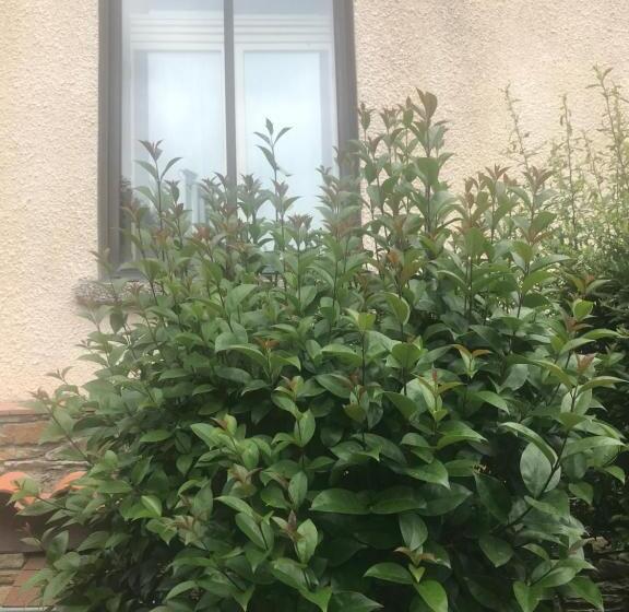 Студио Стандарт с Террасой, Hébergements à La Rive, Accueil Ouvert Tous Les Jours Jusqu à 20h00 Dernier Délai, Depuis 30 Ans ! R