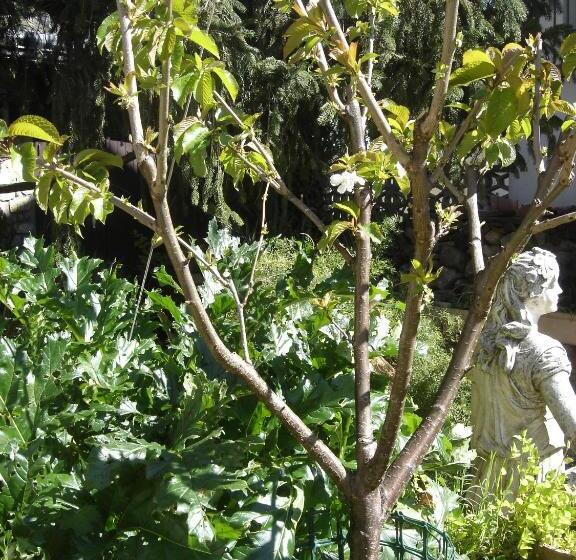 Бунгало Стандарт Вид на Сад, Hébergements à La Rive, Accueil Ouvert Tous Les Jours Jusqu à 20h00 Dernier Délai, Depuis 30 Ans ! R