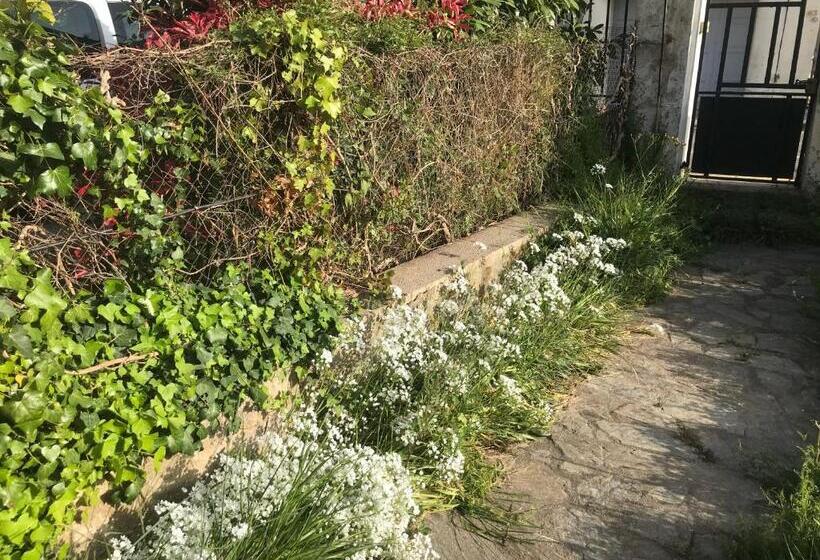 Номер Стандарт Вид на Сад, Hébergements à La Rive, Accueil Ouvert Tous Les Jours Jusqu à 20h00 Dernier Délai, Depuis 30 Ans ! R