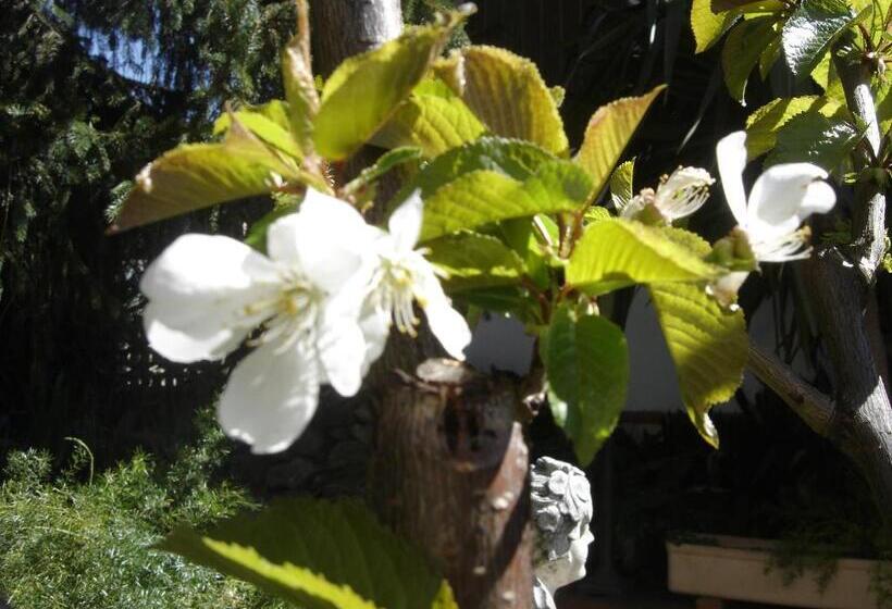 Бунгало Стандарт Вид на Сад, Hébergements à La Rive, Accueil Ouvert Tous Les Jours Jusqu à 20h00 Dernier Délai, Depuis 30 Ans ! R