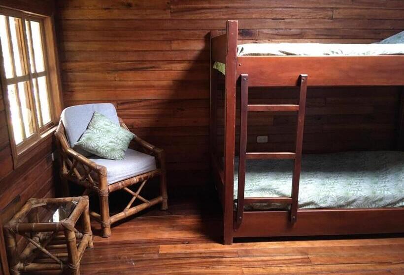 اتاق استاندارد سه نفره, Guest House Great Hostels Amazon