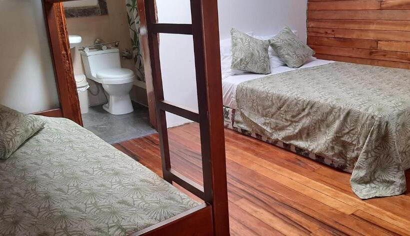 اتاق کلاسیک چهارنفره, Guest House Great Hostels Amazon