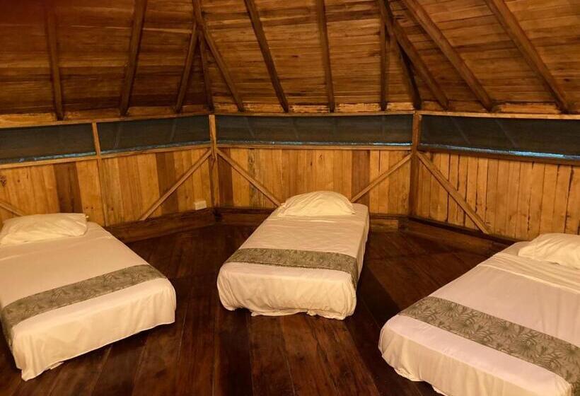 تختخواب در اتاق مشترک, Guest House Great Hostels Amazon