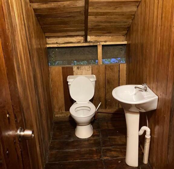 تختخواب در اتاق مشترک, Guest House Great Hostels Amazon