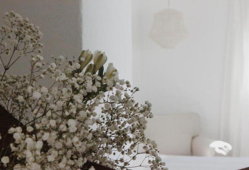 디럭스 스튜디오, Anhel