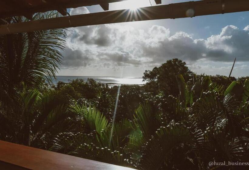 اتاق سوپریور, Mangabeira Logde