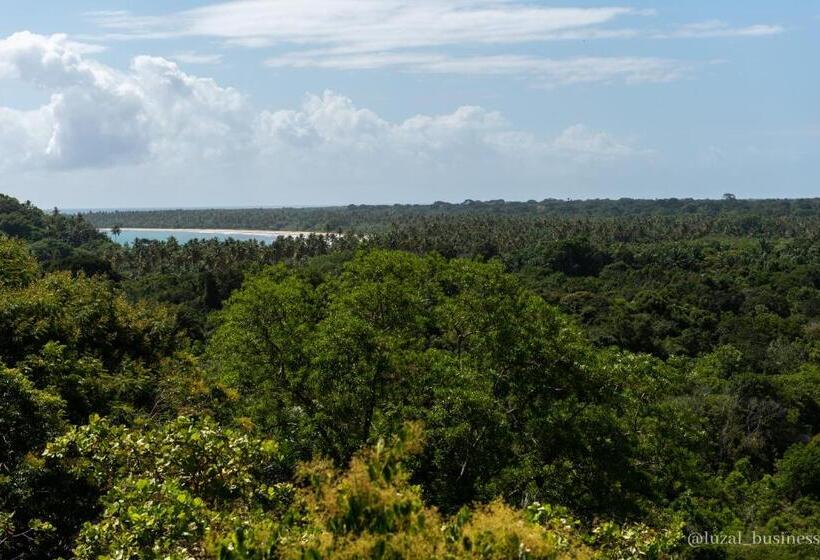 اتاق سوپریور, Mangabeira Logde