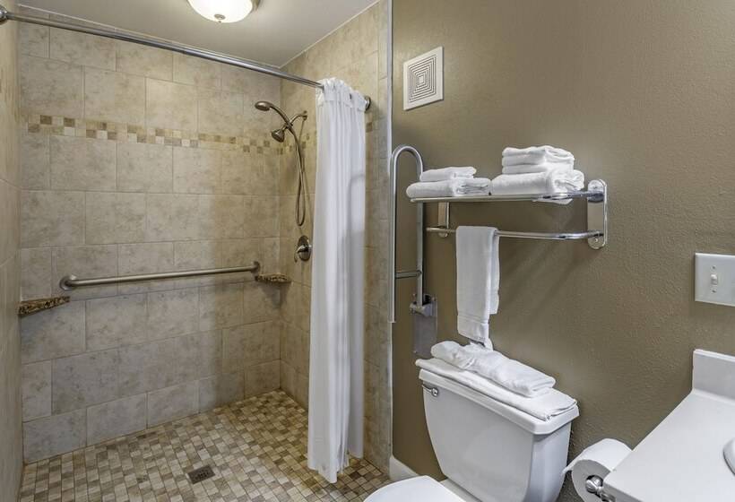 סוויטה משפחתית, Richland Inn Of Columbia