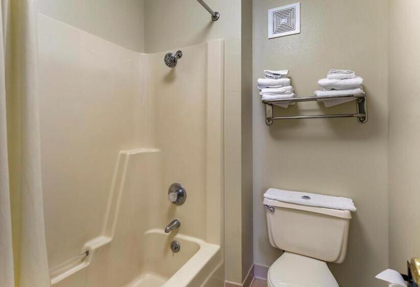 חדר סטנדרט, Richland Inn Of Columbia