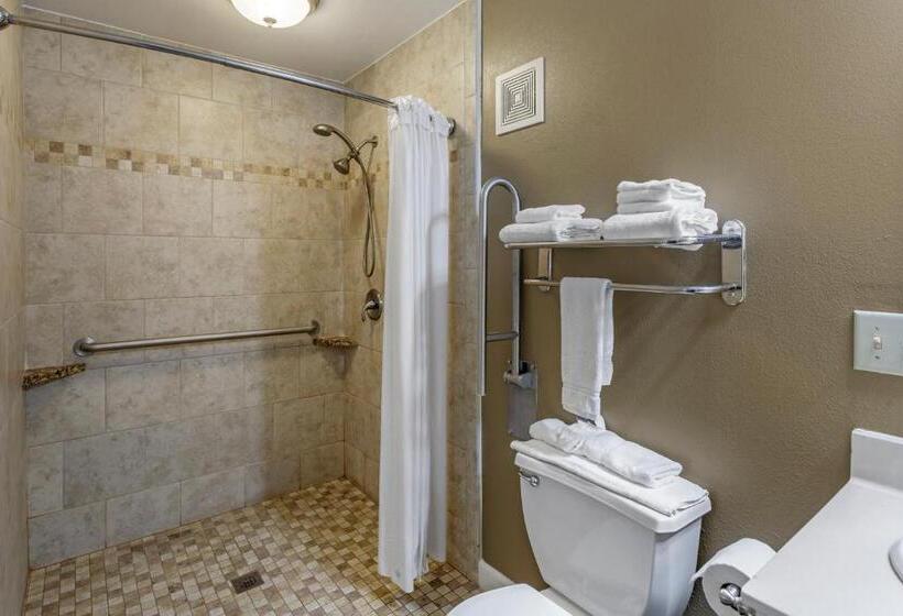 חדר סטנדרט עם מיטת קינג, Richland Inn Of Columbia