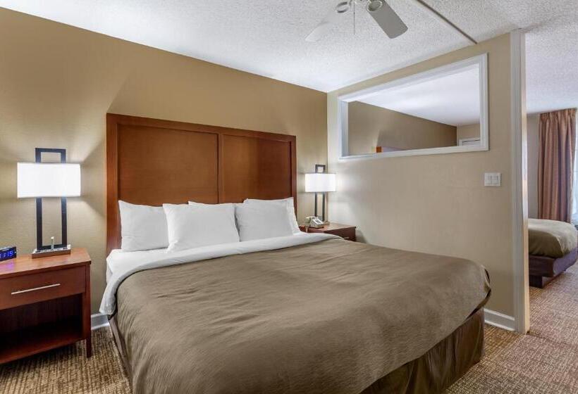 סוויטה משפחתית, Richland Inn Of Columbia