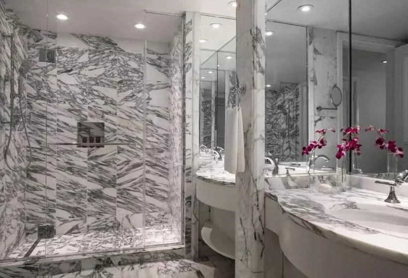 اتاق استاندارد با چشم‌انداز, The Ritzcarlton, Laguna Niguel