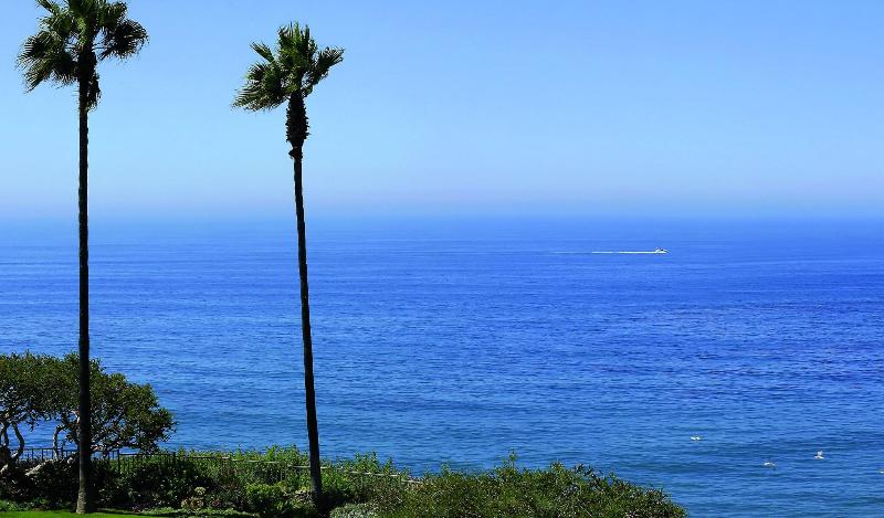 带大床的标准间, The Ritzcarlton, Laguna Niguel
