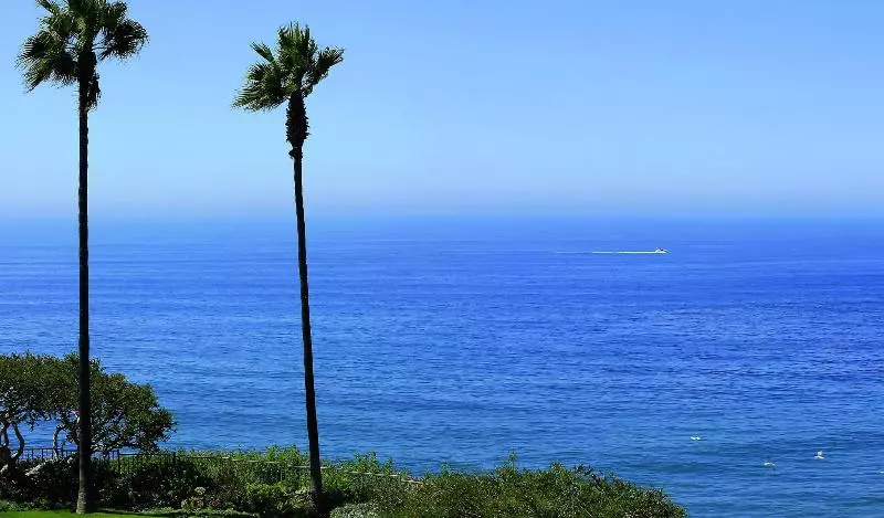 اتاق استاندارد با تخت بزرگ, The Ritzcarlton, Laguna Niguel