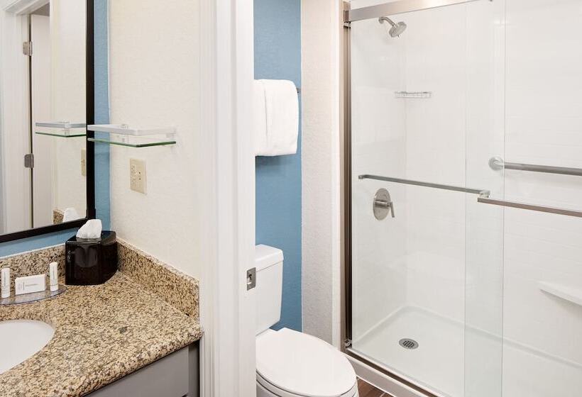 סוויטה, Residence Inn Boston Dedham