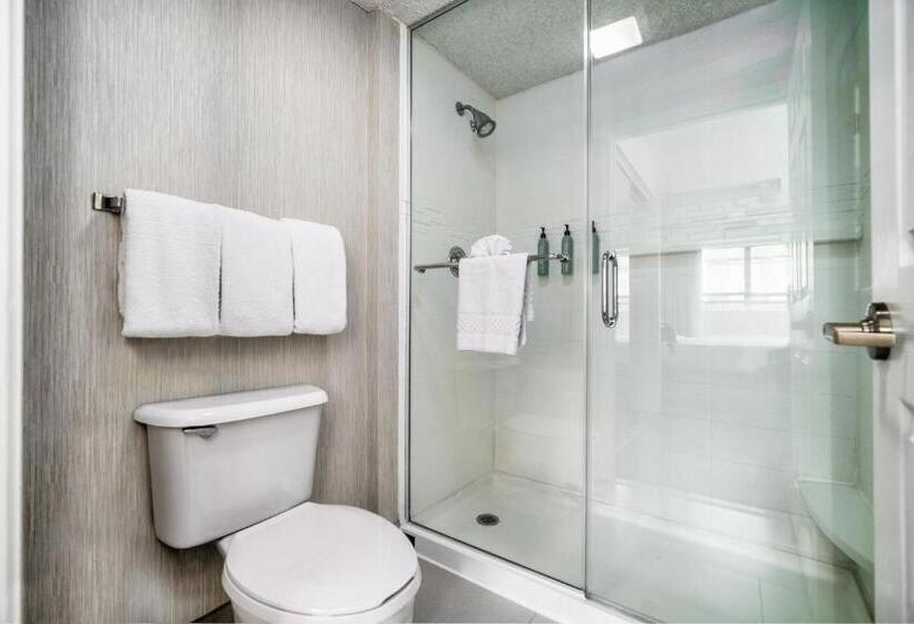 キングサイドベッドのスタンダードワンルーム, Residence Inn By Marriott Mcallen