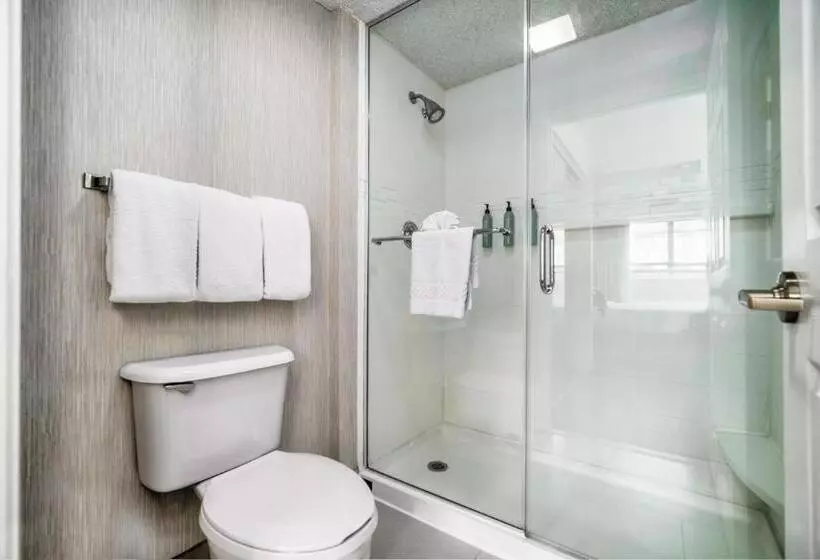 استودیو استاندارد با تخت کینگ, Residence Inn By Marriott Mcallen