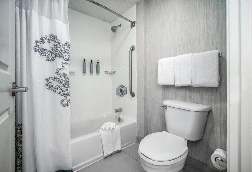 スイート, Residence Inn By Marriott Mcallen