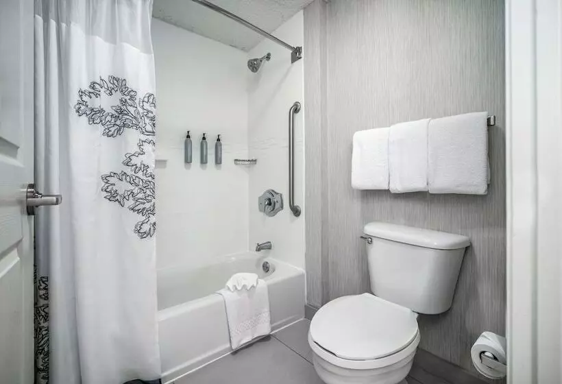 سوییت, Residence Inn By Marriott Mcallen