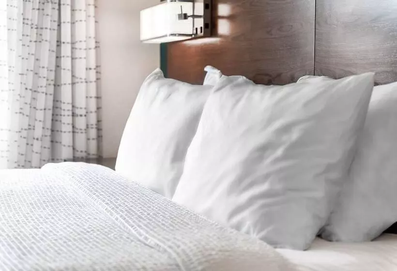 سوئیت 2 خوابه, Residence Inn By Marriott Mcallen