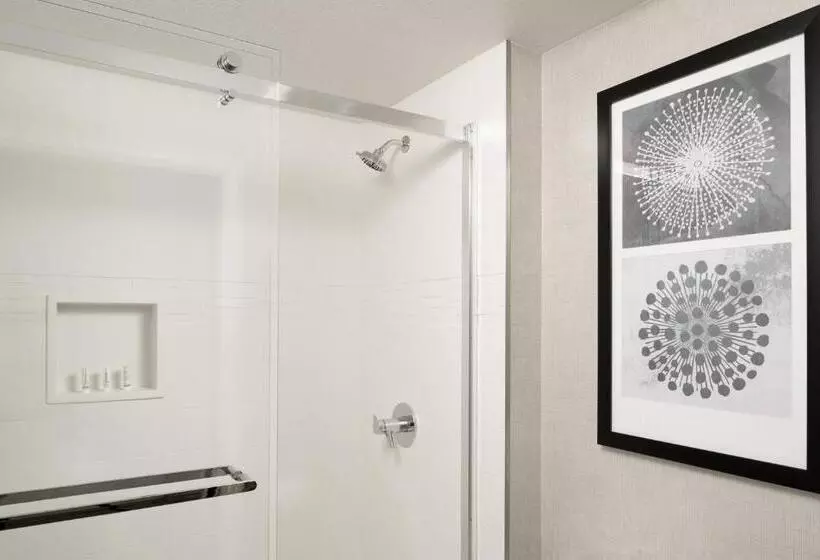 استودیو استاندارد با تخت کینگ, Residence Inn Pleasanton