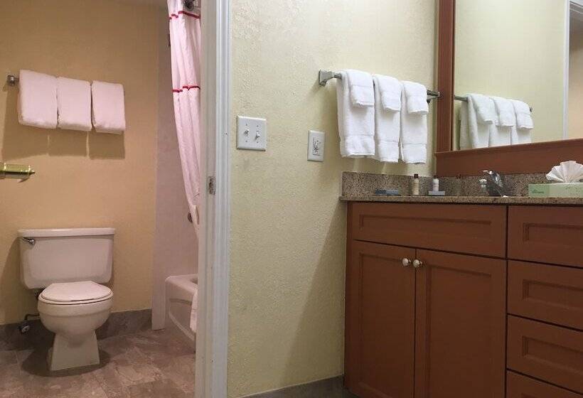 豪华工作室, Affordable Suites Of America Grand Rapids