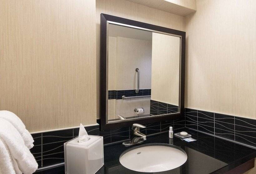 Suite Aangepast voor Gehandicapten, Sonesta Es Suites Chicago Downtown Magnificent Mile  Medical