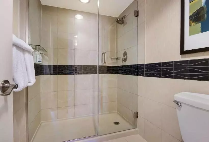 スタンダードスタジオ, Sonesta Es Suites Chicago Downtown Magnificent Mile  Medical