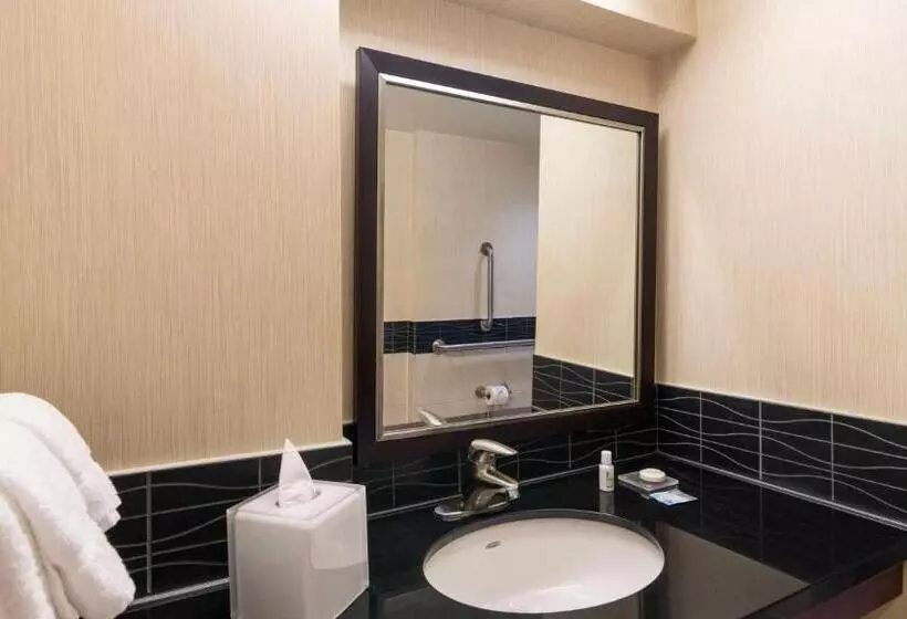 キングサイズベッドのスイートルーム, Sonesta Es Suites Chicago Downtown Magnificent Mile  Medical