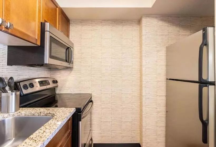 キングサイズベッドのスイートルーム, Sonesta Es Suites Chicago Downtown Magnificent Mile  Medical
