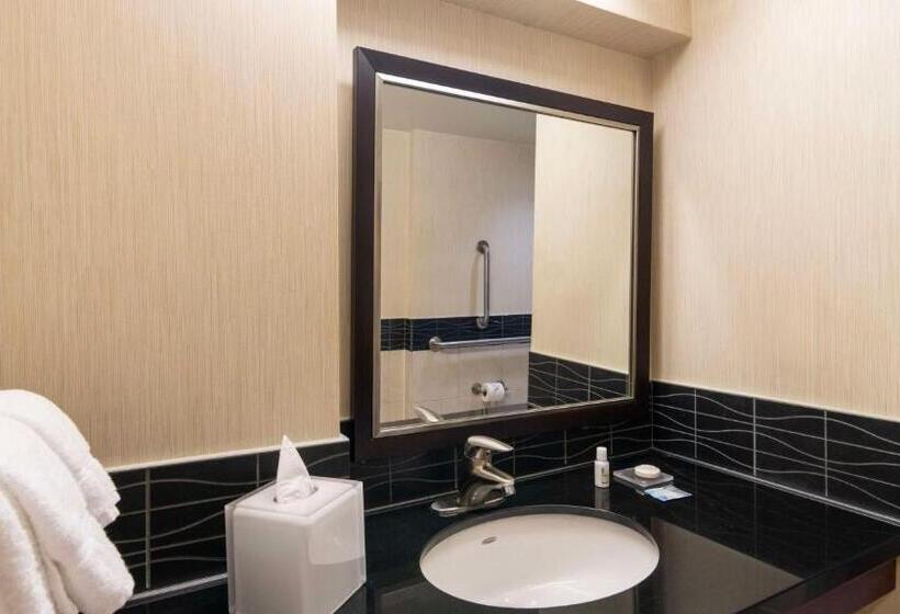 Suite Aangepast voor Gehandicapten, Sonesta Es Suites Chicago Downtown Magnificent Mile  Medical