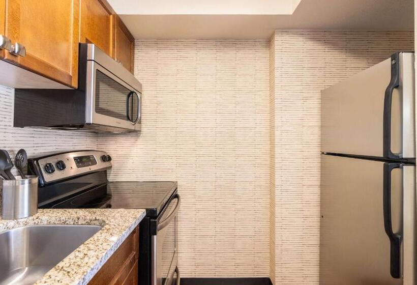 سوئیت برای معلولان, Sonesta Es Suites Chicago Downtown Magnificent Mile  Medical