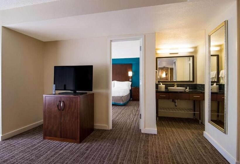 سوئیت برای معلولان, Sonesta Es Suites Chicago Downtown Magnificent Mile  Medical