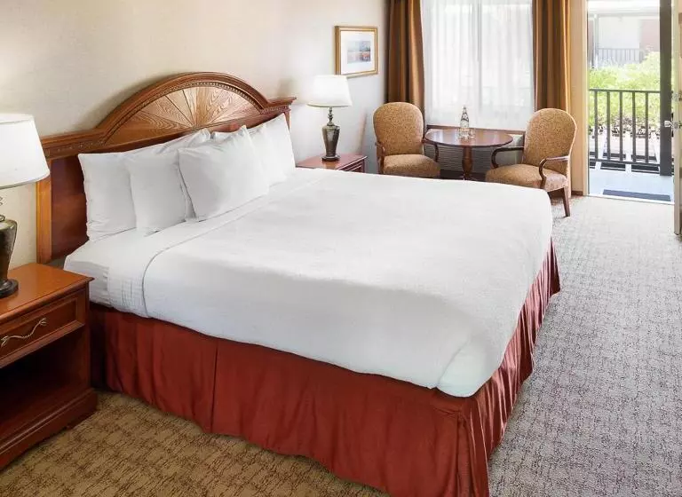اتاق استاندارد با تخت بزرگ, Roman Spa Resort