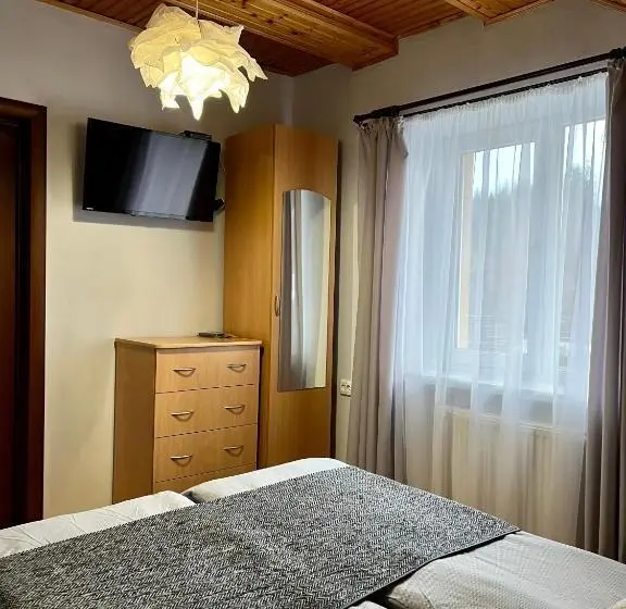 اتاق استاندارد, ніч над карпатами